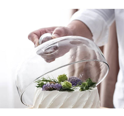 Minimalist Glass Cover Cake Stand Trays Decorative Afternoon Tea Dessert Plate Snack Dish Coffee Table Desktop Nordic Home Decor