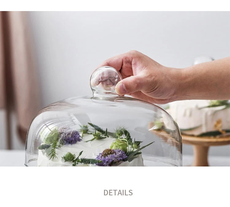 Minimalist Glass Cover Cake Stand Trays Decorative Afternoon Tea Dessert Plate Snack Dish Coffee Table Desktop Nordic Home Decor